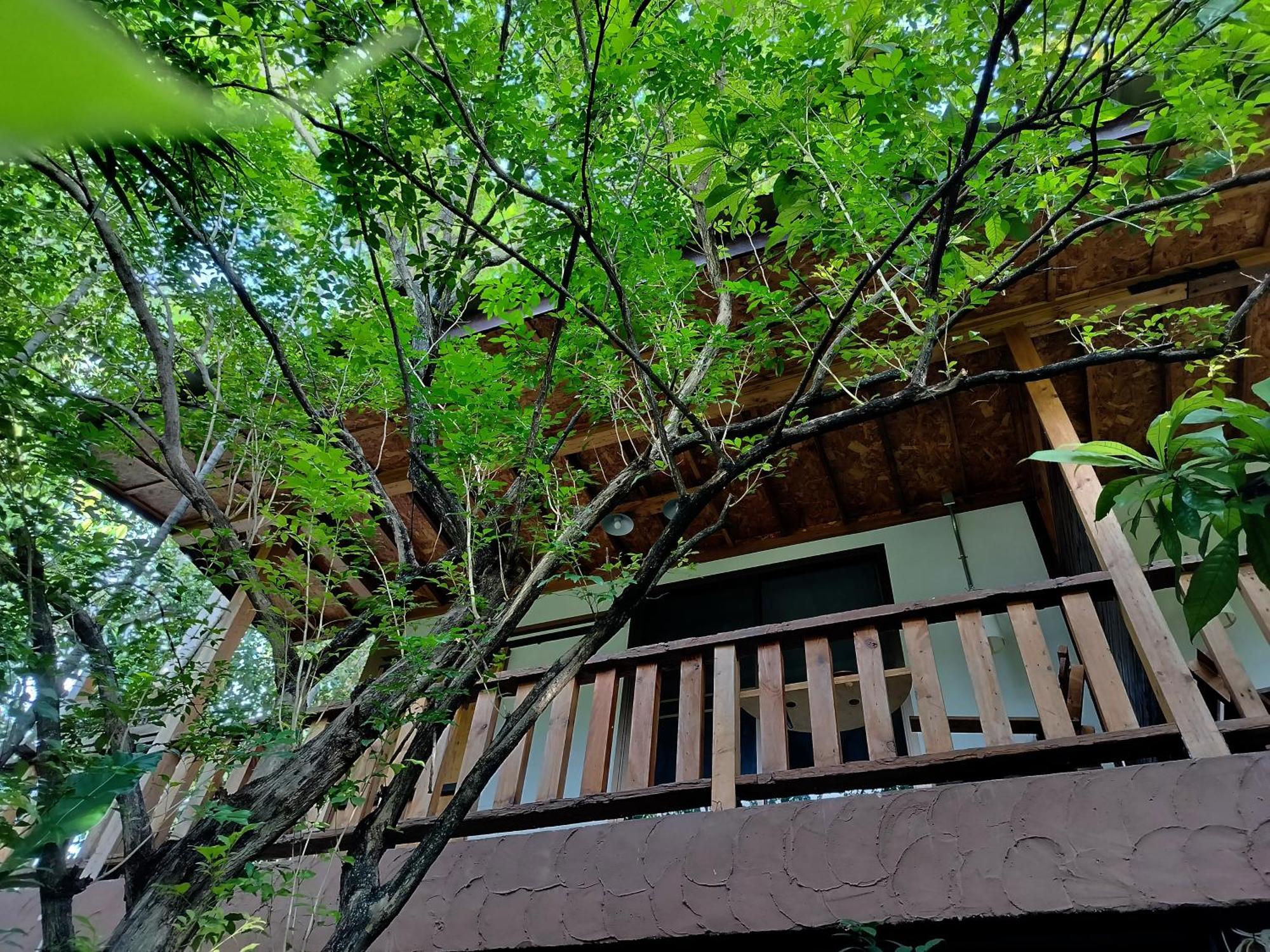 Oldy De Garden Aparthotel เชียงใหม่ ภายนอก รูปภาพ