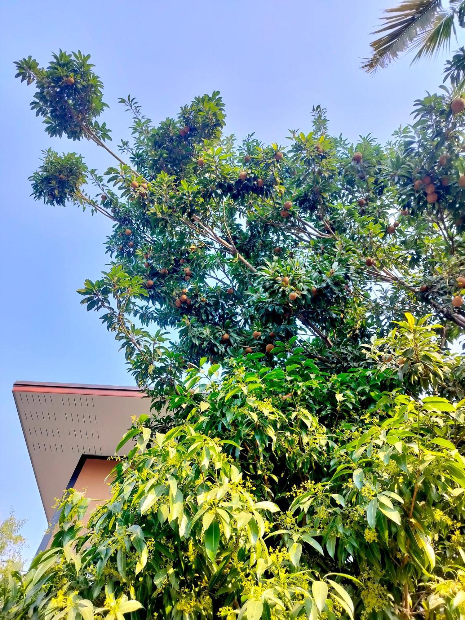 Oldy De Garden Aparthotel เชียงใหม่ ภายนอก รูปภาพ