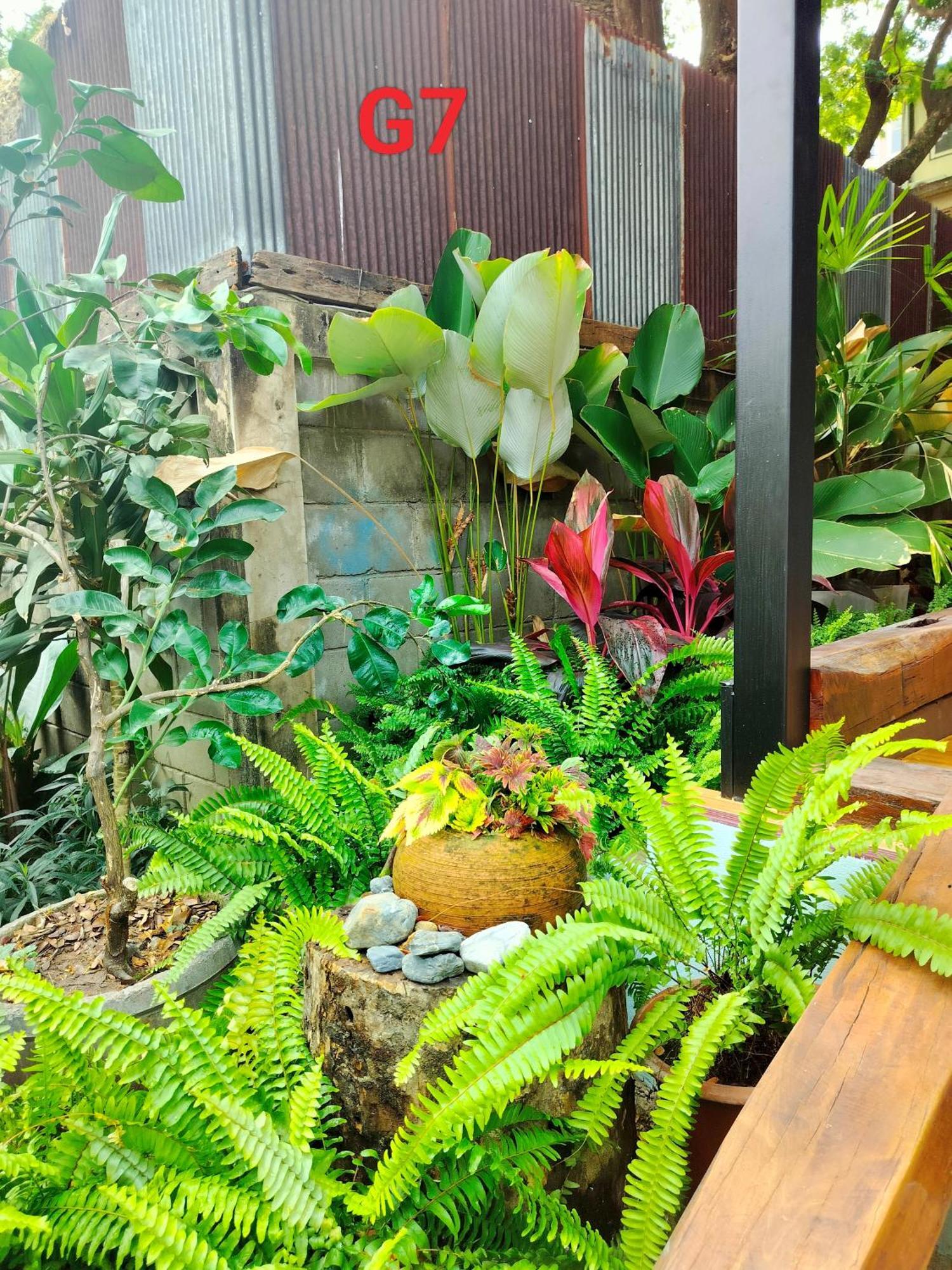 Oldy De Garden Aparthotel เชียงใหม่ ภายนอก รูปภาพ